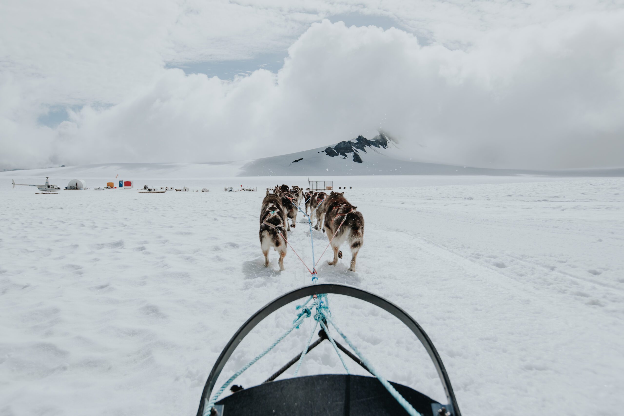 Team of sled dogs mushing over a glacier toward a remote camp during a dog sledding tour in Seward, Alaska